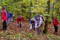 Wandern ohne Gep�ck: P�lzer Keschdeweg 3