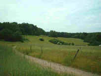 Wegabschnitt "Finstersteig" bei Heltersberg
