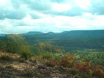 5-6.JPG (29165 Byte)