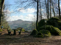 Vom Saufelsen in die Kernzone "Quellgebiet der Wieslauter"