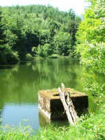 Fischweiher am Wieslauterhof
