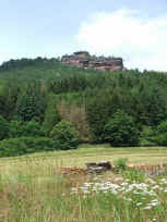 Der Rödelstein von Vorderweidenthal