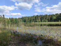 Pfälzerwoog - am Nordufer