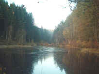 Einer der vielen Weiher im Walkmühltall