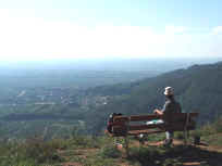 Aussichtsbank beim Aufstieg zum Ludwigsturm