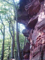 Die Westwand des Drachenfels-Südfels