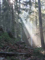 Spätherbstsonne im Ransbächeltal