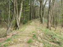 68a-2.JPG (64963 Byte)