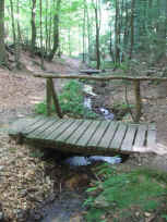 Abstieg am Wolselbach