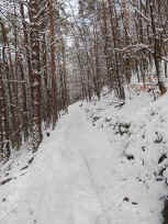 Winterpfad zur Madenburg