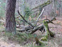 Beim Aufstieg auf den Hochberg