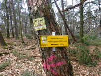 Verlässlich: Die Beschilderung zum Hochberg