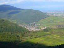 85-6.JPG (85212 Byte)