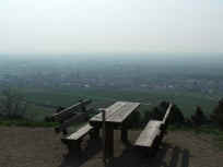 Blick von der Michaelskapelle nach Deidesheim