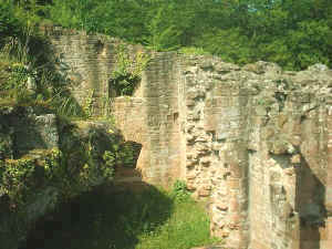 Burgruine Neidenfels
