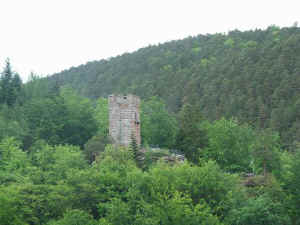 Burgruine Erfenstein