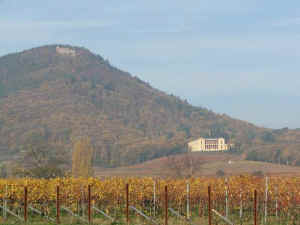 Die Rietburg �ber der Villa Ludwigsh�he