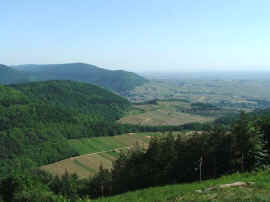 Vom F�hrlenberg �ber die Weinstra�e