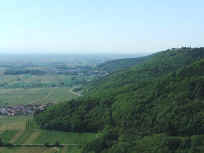 Von der Burgruine Neukastell �ber die S�dliche Weinstra�e