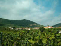 Frankweiler am Radweg deutsche Weinstra�e