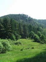 F45-1.JPG (38914 Byte)