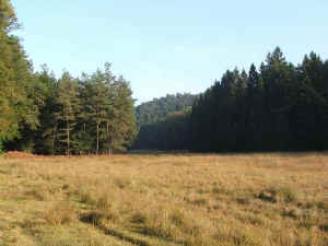 W�steichelsbachtal