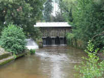 Pirminius2.JPG (56316 Byte)