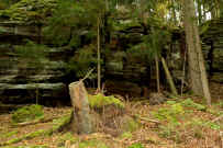 Sandhasentour: Auf dem Felsenpfad am Franzosenkopf