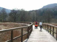 Sauertal-Radweg bei Fischbach