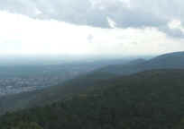 Vom Weinbietturm über Neustadt in die Rheinebene