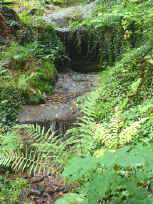 Tropen-Szenerie am Haspelfelsen