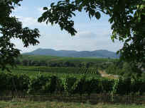 S�dliche Weinstrasse