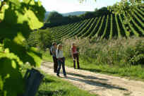 Wandern ohne Gep�ck: P�lzer Keschdeweg 2