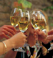 Weinwand4-k.JPG (36796 Byte)