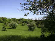 Streuobstwiesen in der Tschiffliker Dell