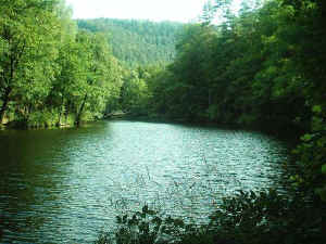 Der zweite Rohrwoog-Weiher