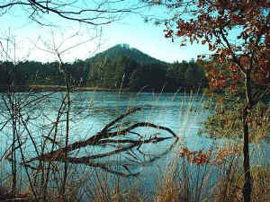 Winter am Pf�lzerwoog