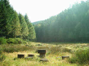 Rastplatz im Freischbachtal