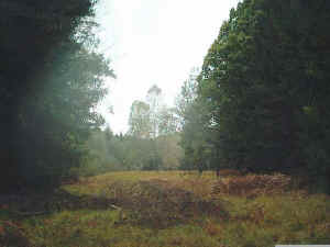 Im Naturschutzgebiet R�sselsweiher-Rohrweiher