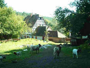 Forsthaus St�denbach