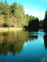 Auf dem Biosphären-Erlebnisweg am Spießwoog