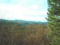 Von der Gottfriedsruhe in den südwestlichen Pfälzerwald