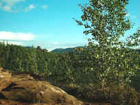 Vogesenblick vom Bayrisch-Windstein