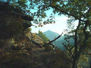 Der Rehberg vom Buchholzfelsen