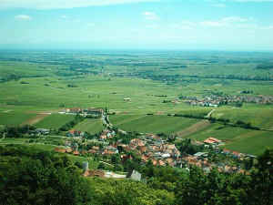 Von der Burgruine Neukastell �ber Leinsweiler in die Rheinebene