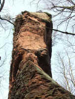 Sch�tzenfels-Ostkante